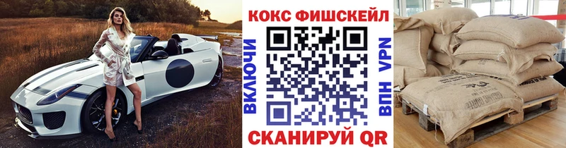 Купить  Дмитриев  COCAIN Эквадор 