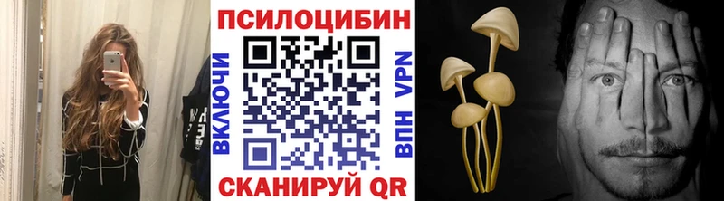 Псилоцибиновые грибы MAGIC MUSHROOMS  Купить  Дмитриев 